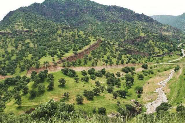 ۹۰ هزار هکتار از اراضی آبدانان را جنگل تشکیل می دهد