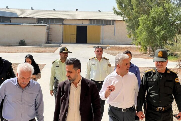 دادستان گناوه: موانع فعالیت واحدهای تولیدی باید با جدیت پیگیری شود