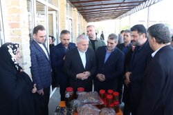 صالحی امیری در مسیر حرم تا حرم؛ بازدید از بازارچه صنایع دستی آرادان