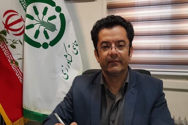 توزیع بیش از ۳۱ هزار تن کود پایه در همدان
