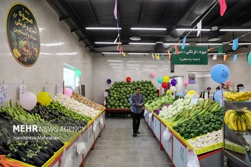 معرفی سبزیجاتی که فراتر از تصور ما پتاسیم دارند