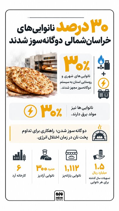 اینفوگرافیک؛ ۳۰ درصد نانوایی‌های خراسان‌شمالی دوگانه‌سوز شدند