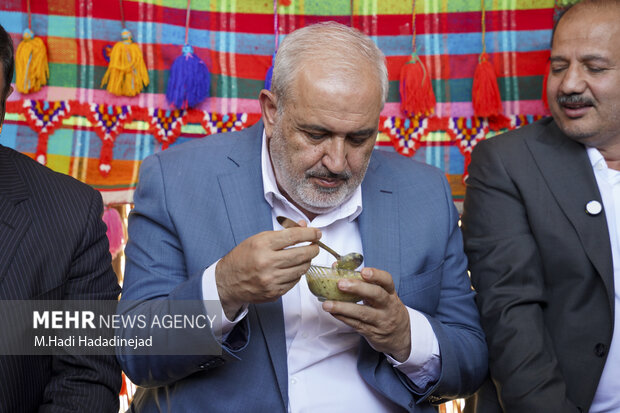 سفر وزیر نیرو به فارس