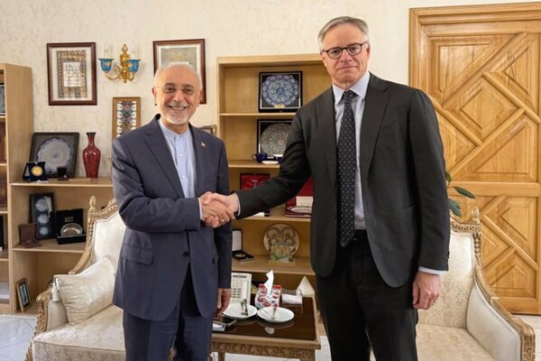 سفیر آلمان با رئیس بنیاد ایران‌شناسی دیدار و گفتگو کرد