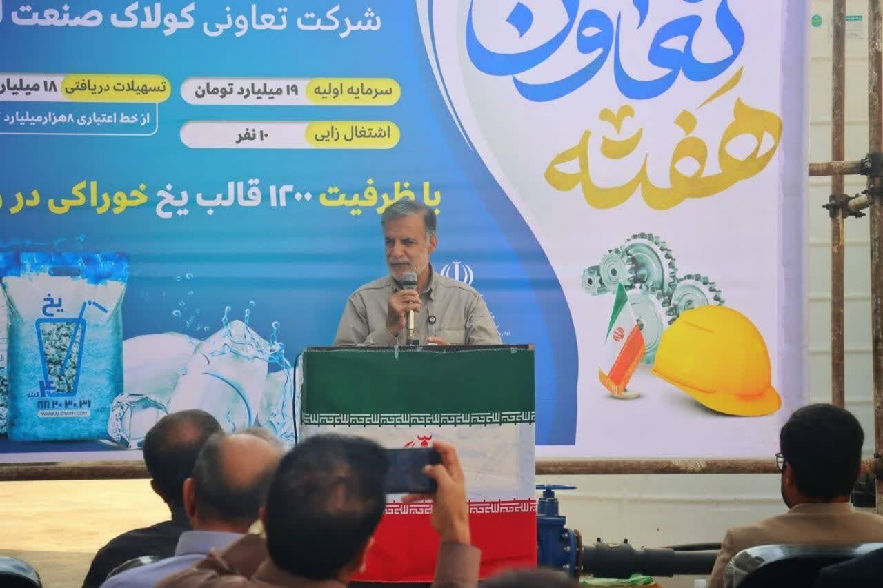 پورکبگانی: کمبود صنایع برودتی حلقه مفقوده زنجیره شیلات بوشهر است