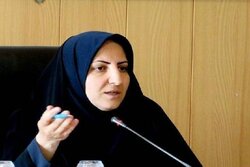 سقف سهمیه آرد نانوایی‌های آزادپز ۳۰۰ کیسه در ماه تعیین شد