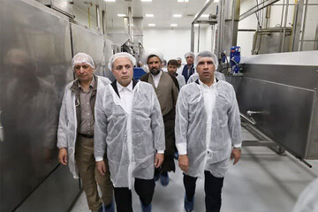 بازدید وزیر جهاد کشاورزی از کارخانه بسته بندی در بناب