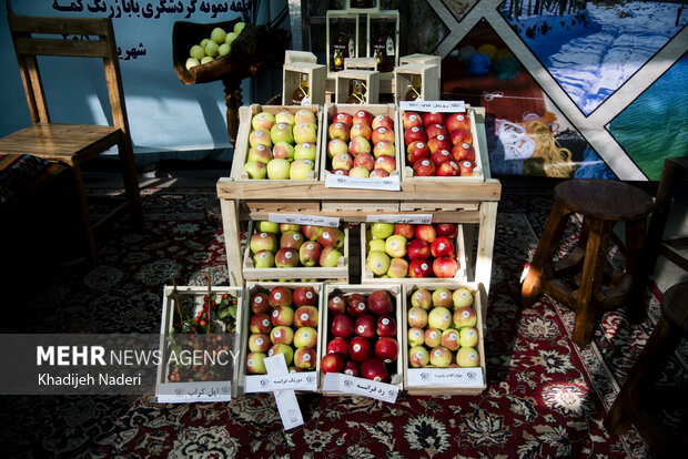 نخستین جشنواره سیب سمیرم اصفهان