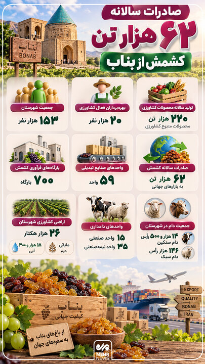 اینفوگرافیک؛ صادرات سالانه ۶۲ هزار تن کشمش از بناب