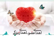 اهدای اعضای مرد ۴۵ ساله الیگودرزی به چند بیمار عمر دوباره بخشید