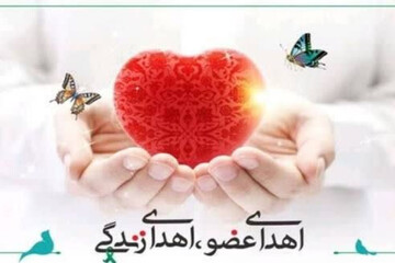 بیست‌وششمین اهدای عضو سال در یزد ثبت شد