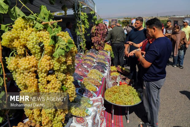 جشنواره ملی انگور مشگین‌شهر