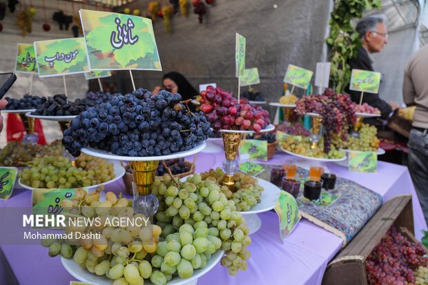 جشنواره ملی انگور مشگین‌شهر
