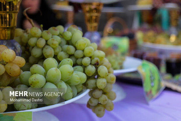 جشنواره ملی انگور مشگین‌شهر