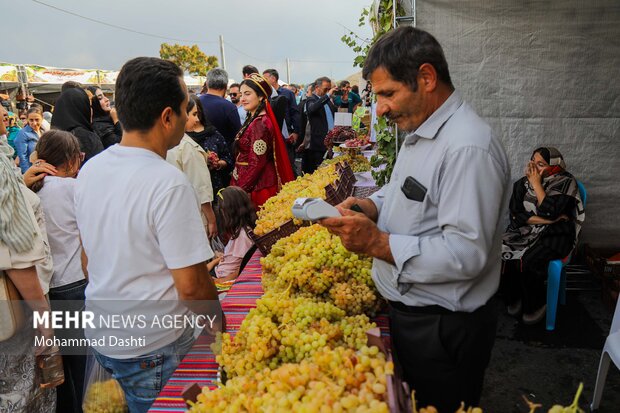 جشنواره ملی انگور مشگین‌شهر
