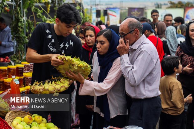 جشنواره ملی انگور مشگین‌شهر