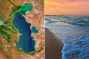 منابع ژنتیکی خزر؛ محور راهبردی همکاری‌های زیست‌محیطی پنج کشور ساحلی
