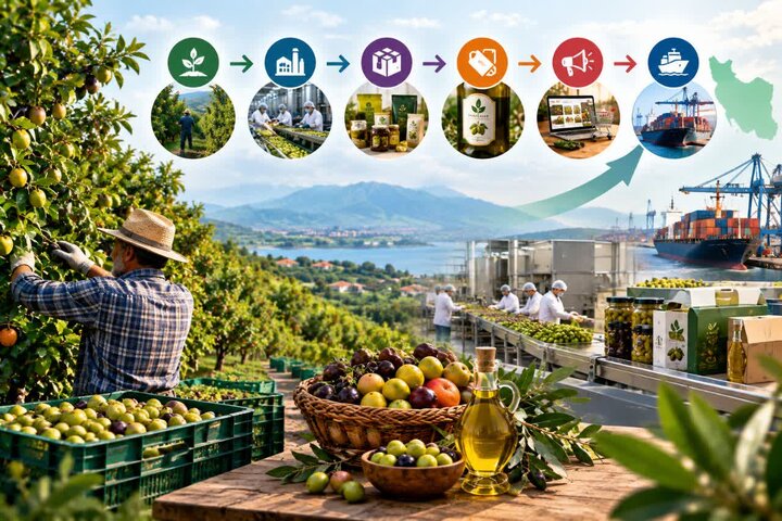 هم افزایی دولت و بخش خصوصی؛ گذار از خام فروشی با فناوری و سرمایه گذاری