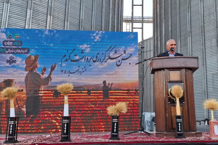 برابری: امنیت غذایی کشور در گرو حمایت از تولید پایدار است