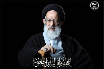 بابایی: آیت‌الله شبیری زنجانی عمر خود را وقف ترویج معارف اسلام کرد