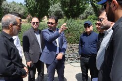 گسترش فعالیت میدانی مروجین آبفای منطقه یک تهران برای مدیریت مصرف آب