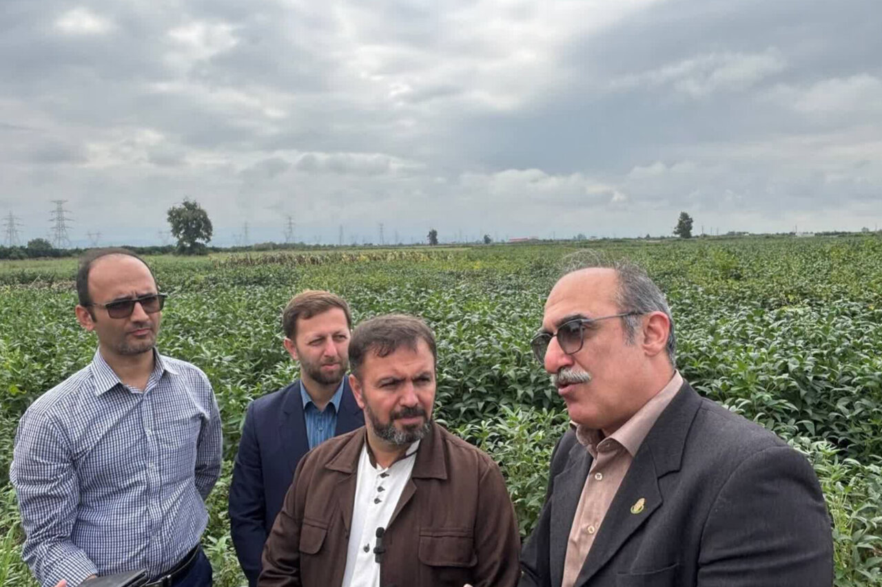 بررسی جامع: هجدهمین اردوی راویان پیشرفت در مازندران برگزار شد | مهر - کد c32d