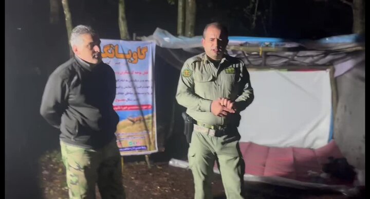 مرالها بیدارند؛ یک شب با نگهبانان جنگل