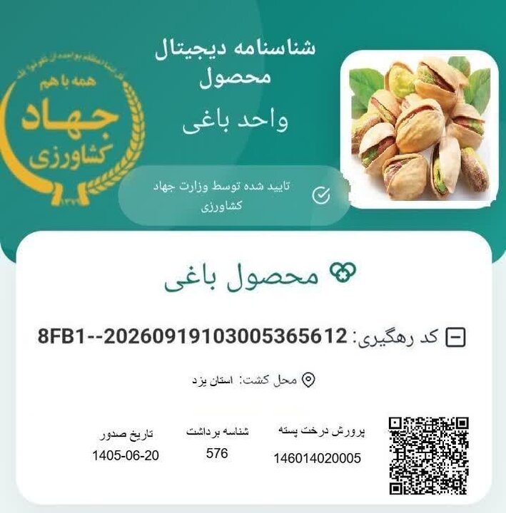 پسته یزد در مسیر هوشمندسازی و تکمیل زنجیره ارزش افزوده