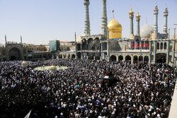 طواف پیکر آیت‌الله شبیری زنجانی در حرم بانوی کرامت