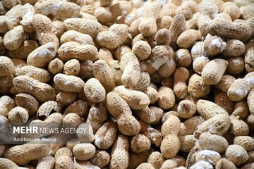 مصرف روزانه بادام زمینی پاسخ مغز به انسولین را بهبود می‌بخشد