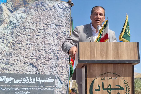 برومندی: آذربایجان شرقی رتبه چهارم تولید گردوی کشور را دارد