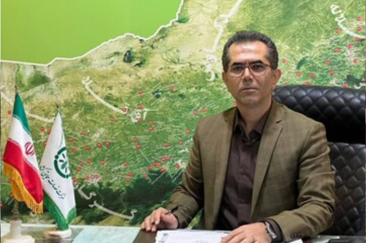 ۲۲ هزار و ۵۰۰ هکتار از مزارع گلستان زیر کشت پنبه رفت