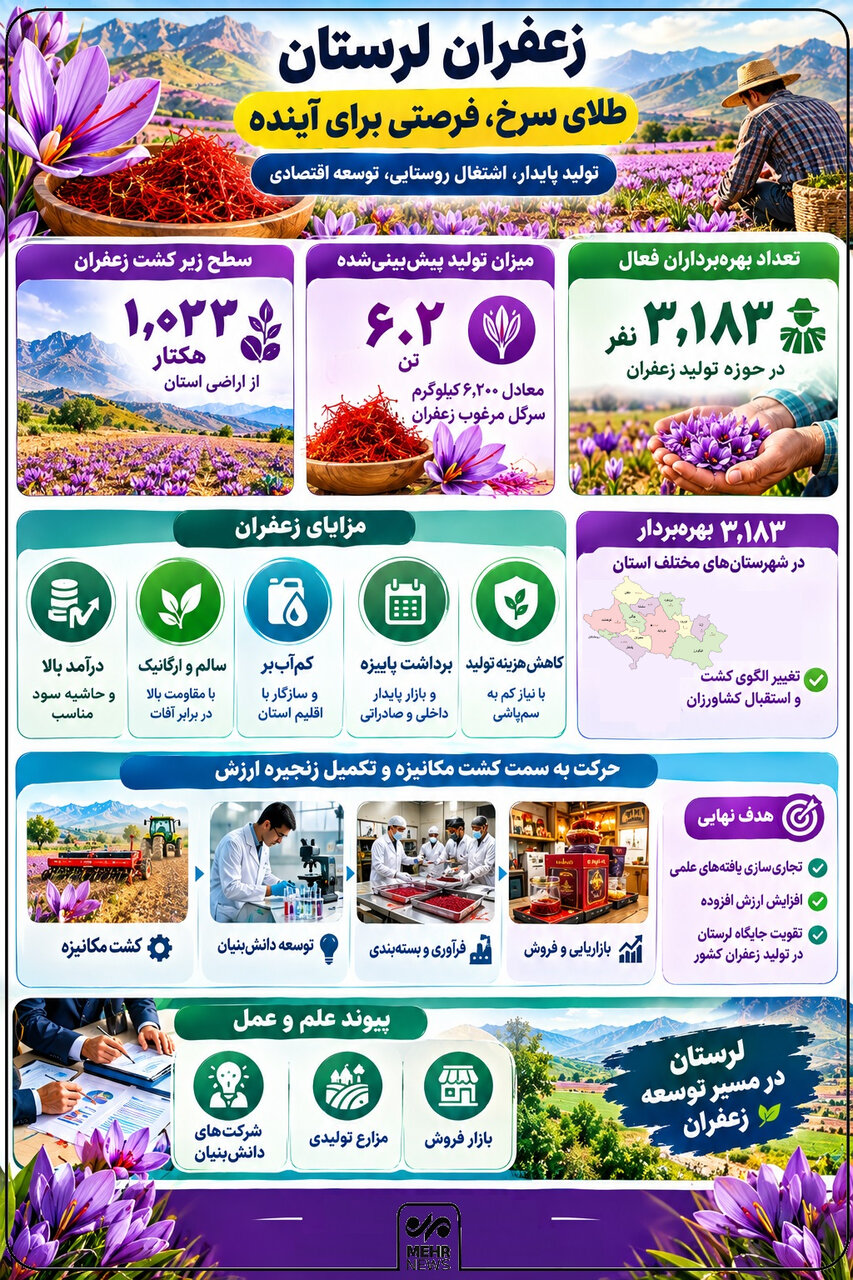 اینفوگرافیک؛ «طلای سرخ» لرستان در مسیر توسعه