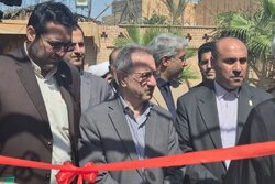 محسنی بندپی: صدور مجوز گردشگری کشاورزی در ورامین تسهیل می‌شود