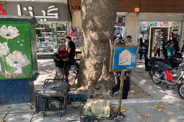 شناسنامه‌دار شدن درختان کهنسال همدان