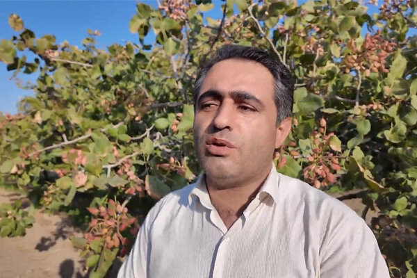 افزایش ۵۰ درصدی مشارکت باغداران و کشاورزان جلفا در طرح شجره طیبه افزایش ۵۰ درصدی مشارکت باغداران و کشاورزان جلفا در طرح شجره طیبه