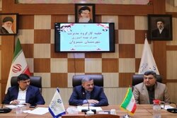 علوی‌مقدم: تعطیلی مرغداری‌ها در زمستان قابل قبول نیست