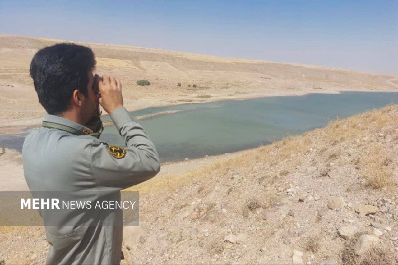 دریکوند: پایش آنفلوآنزای فوق حاد پرندگان در فاروج آغاز شد