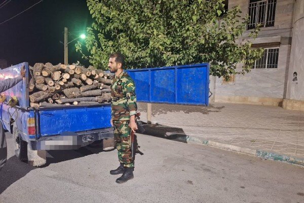 گزارش تحلیلی: محموله چوب‌ قاچاق بلوط در روانسر توقیف شد | مهر - کد 74b7