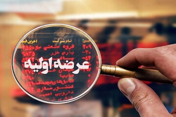 شکیمیا؛ دومین تولیدکننده الیاف بازار سرمایه در مسیر عرضه اولیه