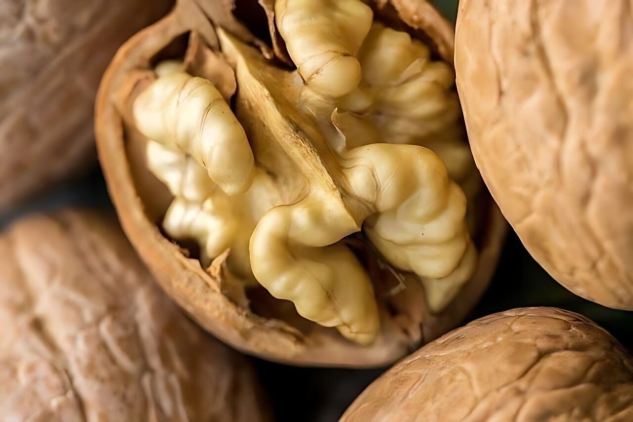 پیش‌بینی برداشت ۲۴ هزار تن گردو از باغات آذربایجان شرقی