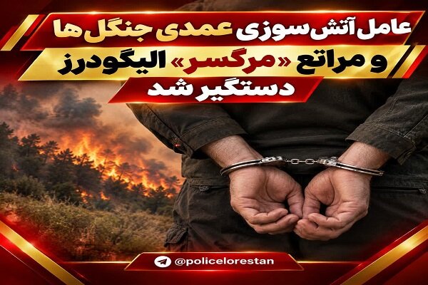 عامل آتش‌سوزی عمدی ۳۰ هکتار از جنگل‌ها و مراتع الیگودرز دستگیر شد
