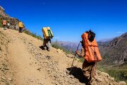 واردات کولبری در ۵ ماهه به ۳۹۶ میلیون دلار رسید
