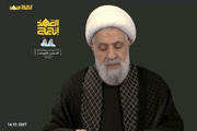الشيخ نعيم قاسم: ذكرى شهادة السيدين نصر الله وصفي الدين حققت لنا صمودا وبقاء