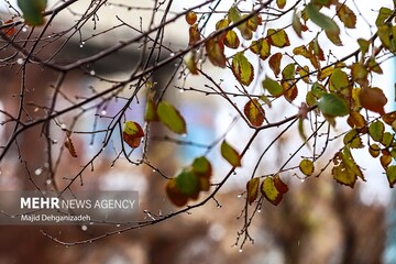 سامانه بارشی جدید وارد استان زنجان می شود