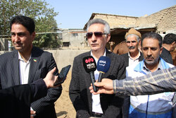 واکسیناسیون رایگان دام و سگ‌های گله در مناطق روستایی پیشوا انجام شد