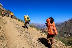 واردات کولبری در ۵ ماهه به ۳۹۶ میلیون دلار رسید