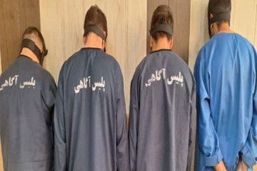 باند سارقان ۲ هزار میلیاردی خانه‌ها در شیراز متلاشی شد