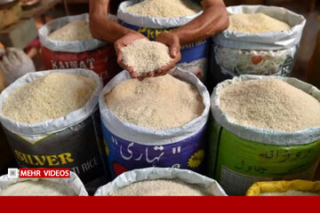 ماجرای برنج‌هایی که صاحبشان پیدا شد، اما اسنادشان نه!