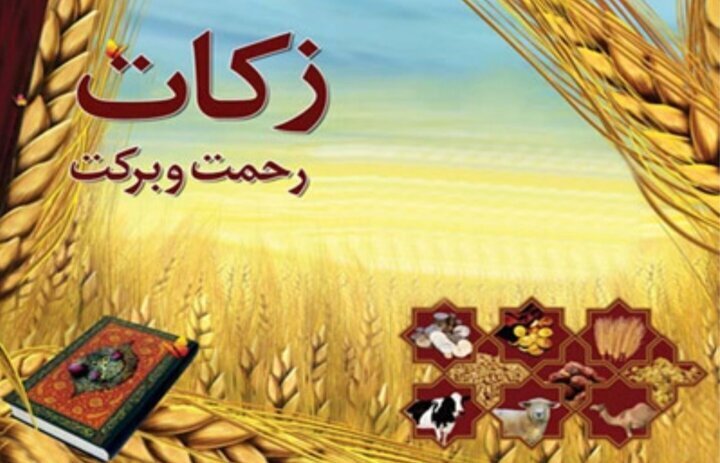 زارع: زکات ظرفیت مهمی برای تقویت همبستگی اجتماعی و حل مسائل جامعه است